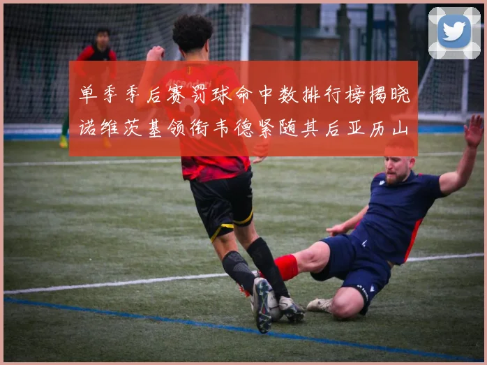 单季季后赛罚球命中数排行榜揭晓诺维茨基领衔韦德紧随其后亚历山大名列第四
