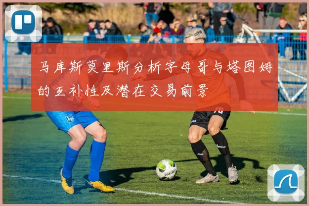 马库斯莫里斯分析字母哥与塔图姆的互补性及潜在交易前景